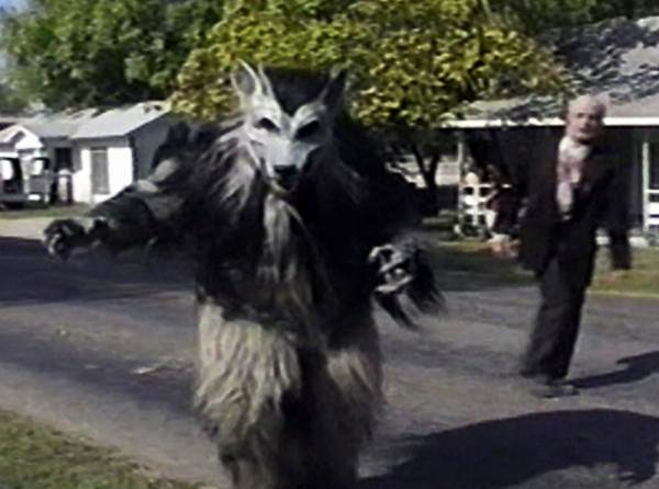 Running Wolf Productions - Picture of the Week 2008